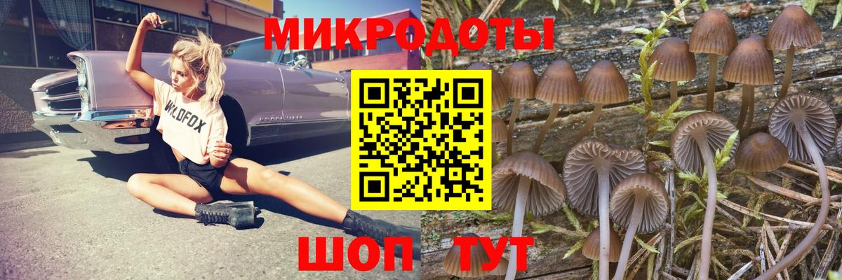 Псилоцибиновые грибы GOLDEN TEACHER Павлово