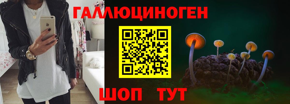 закладки  Псилоцибиновые грибы мухоморы  Псилоцибиновые грибы прущие грибы  Вход с VPN  Павлово 